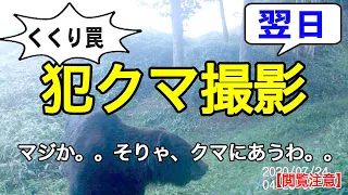 【閲覧注意】2020年7月25日 　前回盗られた鹿の近くにトレイルカメラ設置、戻ってくる様子を撮影してみようかと＊有害駆除＊