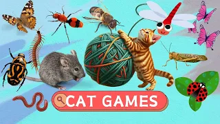 GAME FOR CATS - Realistic Ball, Mouse | CATS TV | 1 HOUR