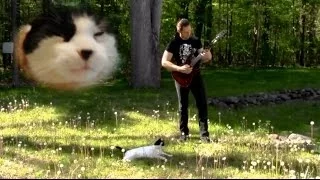 Cat Metal Band - Meow Metal