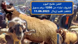 الثمن طايح اليوم    الخروف ابتداء من 1250 درهم بسوق تاكلفت اقليم ازيلال  11.06.2023