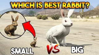 GTA 5 ONLINE : SMALL RABBIT VS BIG RABBIT (WHO WILL WIN?)
