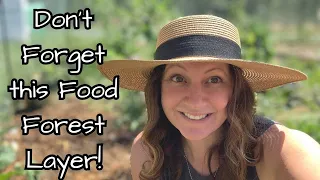 Grow Food in all 8 Layers | The Fungi Layer in the Food Forest