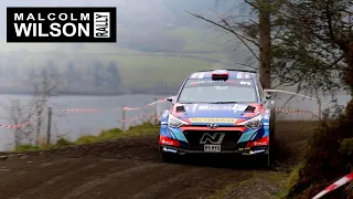 MALCOLM WILSON RALLY 2024 - Flat-Out Forest Stages! (Raw Footage & Pure Sound)