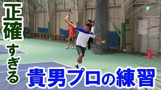 【テニス/TENNIS】正確無比！鈴木貴男プロと早大現役生のガチ練習が凄かった！