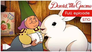 David the Gnome - 5 - Building home | Full Episode |