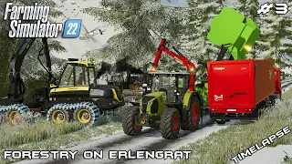 Leasing PONSSE COBRA and making WOODCHIPS | Forestry on ERLENGRAT | Farming Simulator 22 | Episode 3