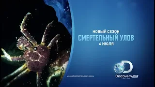 НОВЫЙ сезон | Смертельный улов | Discovery Channel