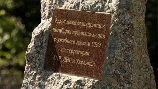 В Шадринске открылась аллея памяти погибших на территории ЛНР, ДНР и Украины