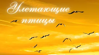 Улетающие Птицы. Музыка Сергея Чекалина (медитация). Музыка для души. Relax. #relax#музыка_для_души