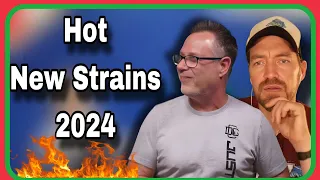 Which Cannabis Strains to Look Out for in 2024 w/ James Bean (SeedsHereNow)