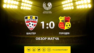 Тур 30. Шахтер - Городея  - 1:0 (01.12.2019)