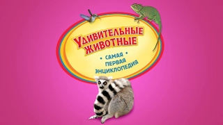 "Удивительные животные" Лучшая энциклопедия в картинках для малышей. Познавательная литература. (HD)