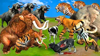 10 Giant Tiger Mammoth vs 10 Giant Tiger Wolf vs 10 Zombie Cow Buffalo Saved By Woolly Mammoth