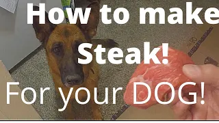 How to Cook a Steak for Your Dog