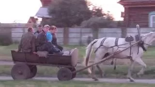 Лошадь с телегой едет по деревне