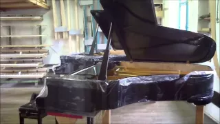 Test  pianos Steinway Forster Pfeiffer Fazioli Grotrian Bluthner Bechstein Bosendorfer Steingraeber