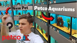 ALL THE FISH AT PETCO (Petco fish tour)