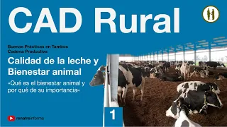 Calidad de la leche y Bienestar animal «Qué es el bienestar animal y por qué de su importancia» (1)