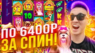 СЛОВИЛ ЗАНОС ПО 6400Р ЗА СПИН! В ДОГ ХАУС СОБАКИ ALL IN ЗАНОСЫ В DOG HOUSE MEGAWAYS