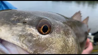 Kayak Fishing For Redfish ( Cape San Blas Florida 2021 )