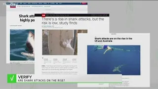 Are shark attacks on the rise?