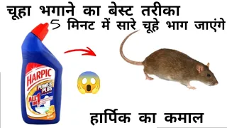 how to get rid of mice|kitchen tips|kitchen organization|how to make kabad se jugad
