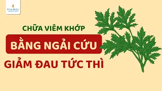 Cách chườm ngải cứu HẾT ĐAU XƯƠNG KHỚP