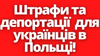 Штрафи та депортації для українців в Польщі! Робота в Польщі