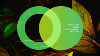 Nigel C, Veljko Jovic - The Future (Original Mix)
