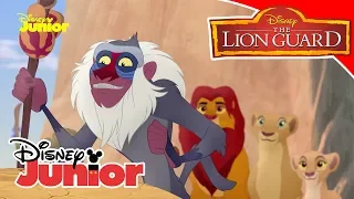 The Lion Guard  - 🥁 Τα τραγούδια του βρυχηθμού