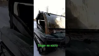 На Тингер по насту. держит 600 кг весу .