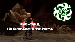 Гайд на Кровавого Фантома | New Dragon Nest