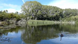 4K UHD - The Groynes Recreational Lake - Christchurch - Canterbury - Inspirational Music