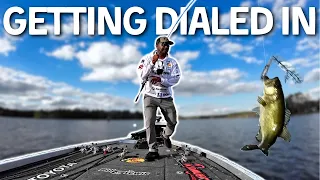 I Changed Baits and MADE $10,000 (Toledo Bend Day 2)