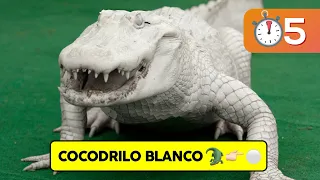 25 Cosas que no sabías hace 5 min⏰ [80] 😲🐊