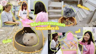 ฟิล์ม ทำความสะอาดกรงแฮมเตอร์ทั้ง 3 กรง วุ่นวายมากก | Film Happy Channel