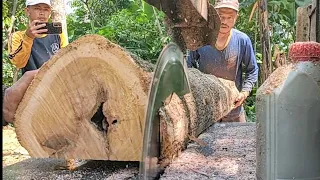 Professional‼️ Cutting teak trees for house doors - assembled serkel machine