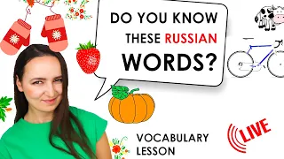 252. Do you know these Russian words? | LIVE lesson