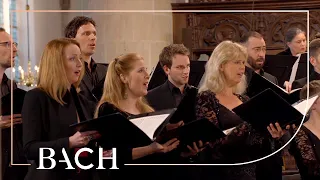 Bach - Motet Komm, Jesu, komm... BWV 229 - MacLeod | Netherlands Bach Society