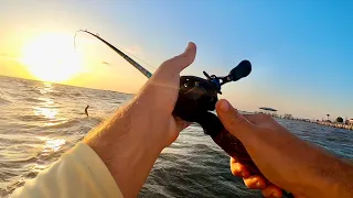 Wade Fishing GALVESTON For LIMITS of SPECKLED TROUT (Catch & Cook)