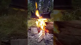 СУПЕР! КОСТЁР ИЗ ДРОВ 40 ЛЕТНЕЙ ВЫДЕРЖКИ !! BONFIRE 40 YEAR OLD FIREWOOD !BRENNHOLZ 40 JAHRE ALT !