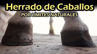 HERRAJE DE CABALLO por Limites Naturales - Recorte de Cascos y Balancear tu Caballo