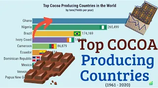 World's top cocoa-producing countries 2020 | Top Cocoa Producing Countries in the World (1961-2020)