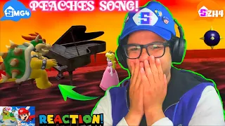 PEACHES SONG! - Super Mario 64 Poorly Explained REACTION!!!