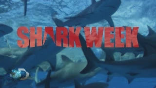 Discovery - Shark Week 2014