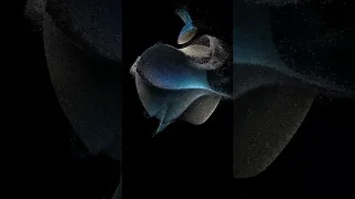 [TRANSLATED] Apple Event - September 12 (TikTok Ad)