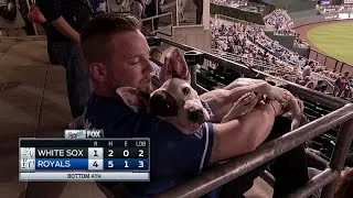 CWS@KC: Royals fans attend the game with their dogs