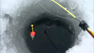 Зимняя Рыбалка  Ладога , Кобона 31 Января  ( 1080p )