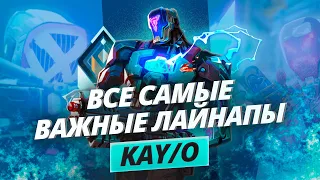 ВСЕ САМЫЕ ВАЖНЫЕ ЛАЙНАПЫ ЗА KAY/O