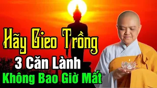 Có 3 CĂN LÀNH KHÔNG BAO GIỜ MẤT, Chỉ Cần GIEO TRỒNG và HÁI LỘC | Ni Sư Hương Nhũ Giảng